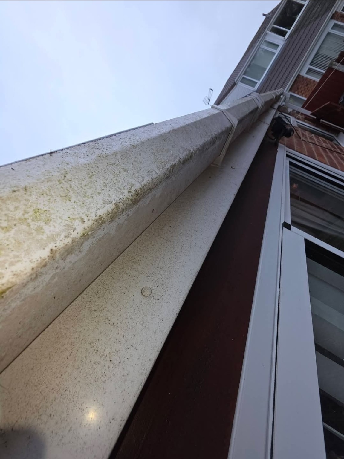 Dirty fascia and guttering